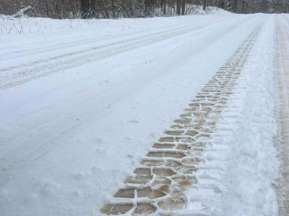 Allegan Trap Trail photo 2
