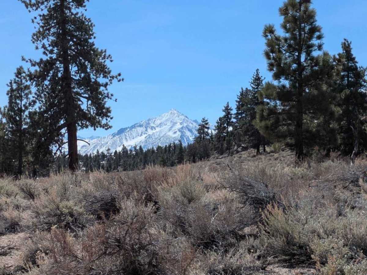 Round Mountain Loop Alternate photo 3