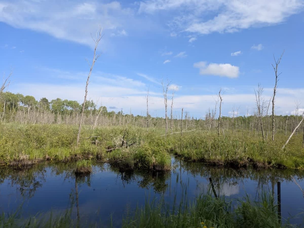 County Road 361 photo 2