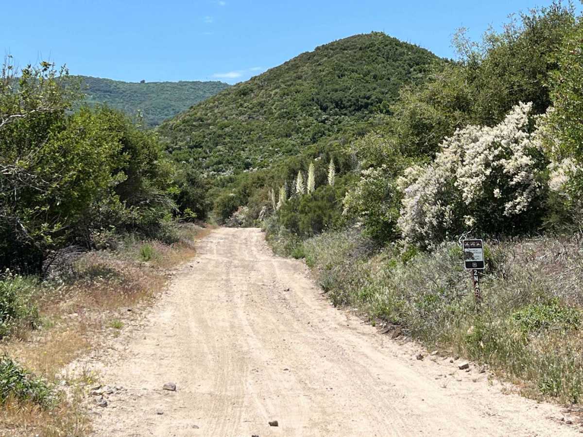 Bailey Canyon trail photo