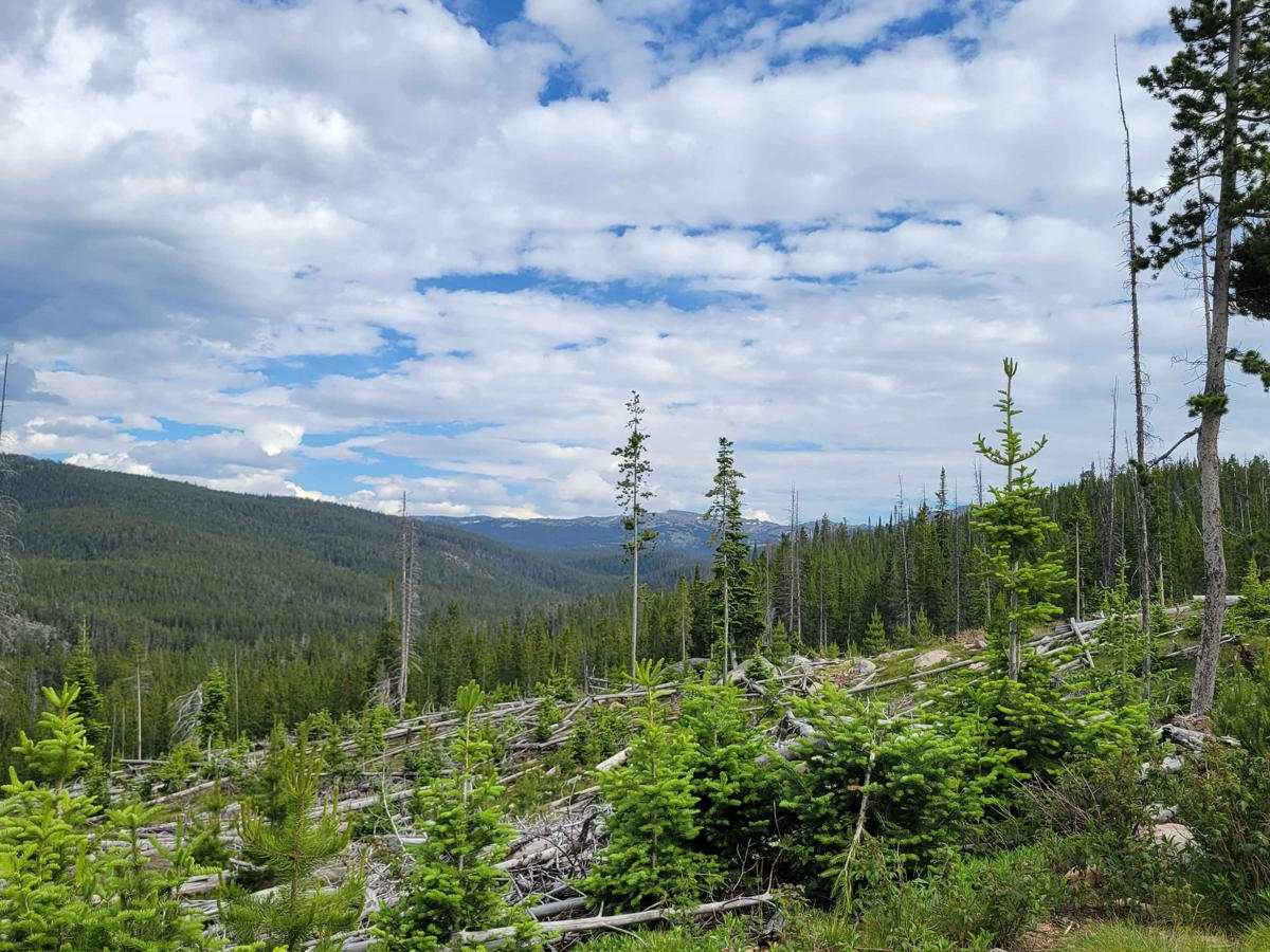 Duncan Lake photo 5