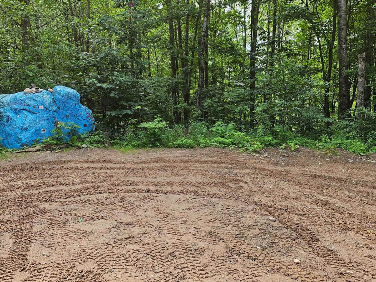 Bloomer County Forest Trail trail photo