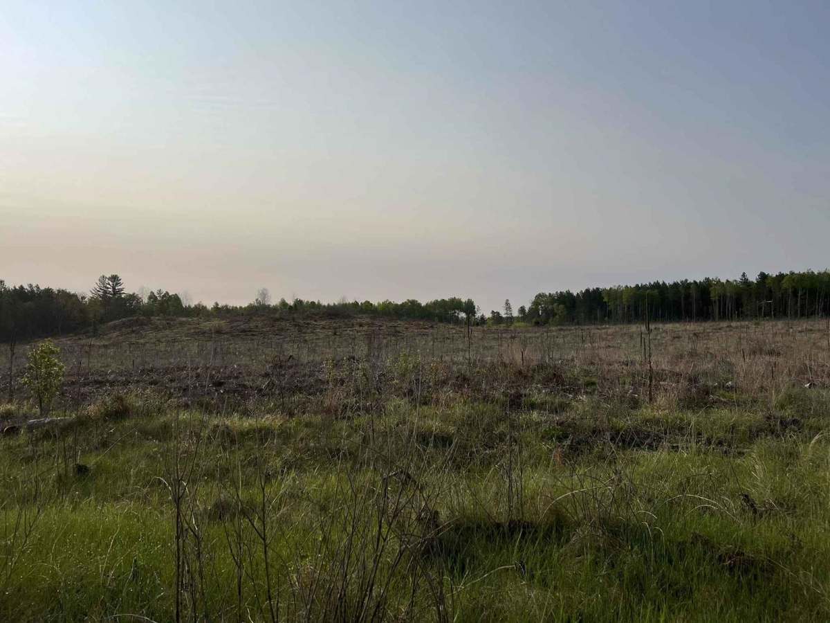 Calumet Mine Road Trail A photo 4