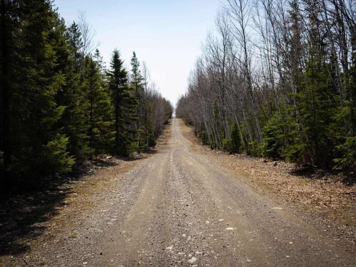 Roger Brook Trail (Part 1) photo 5