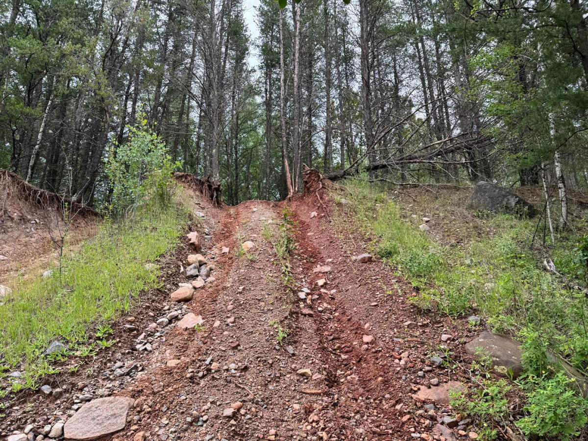 Spruce Almighty photo 2
