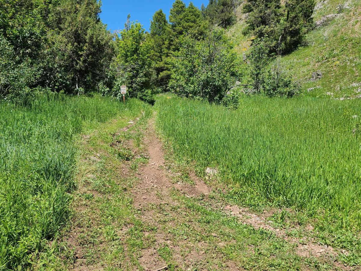 Seep Hollow trail photo