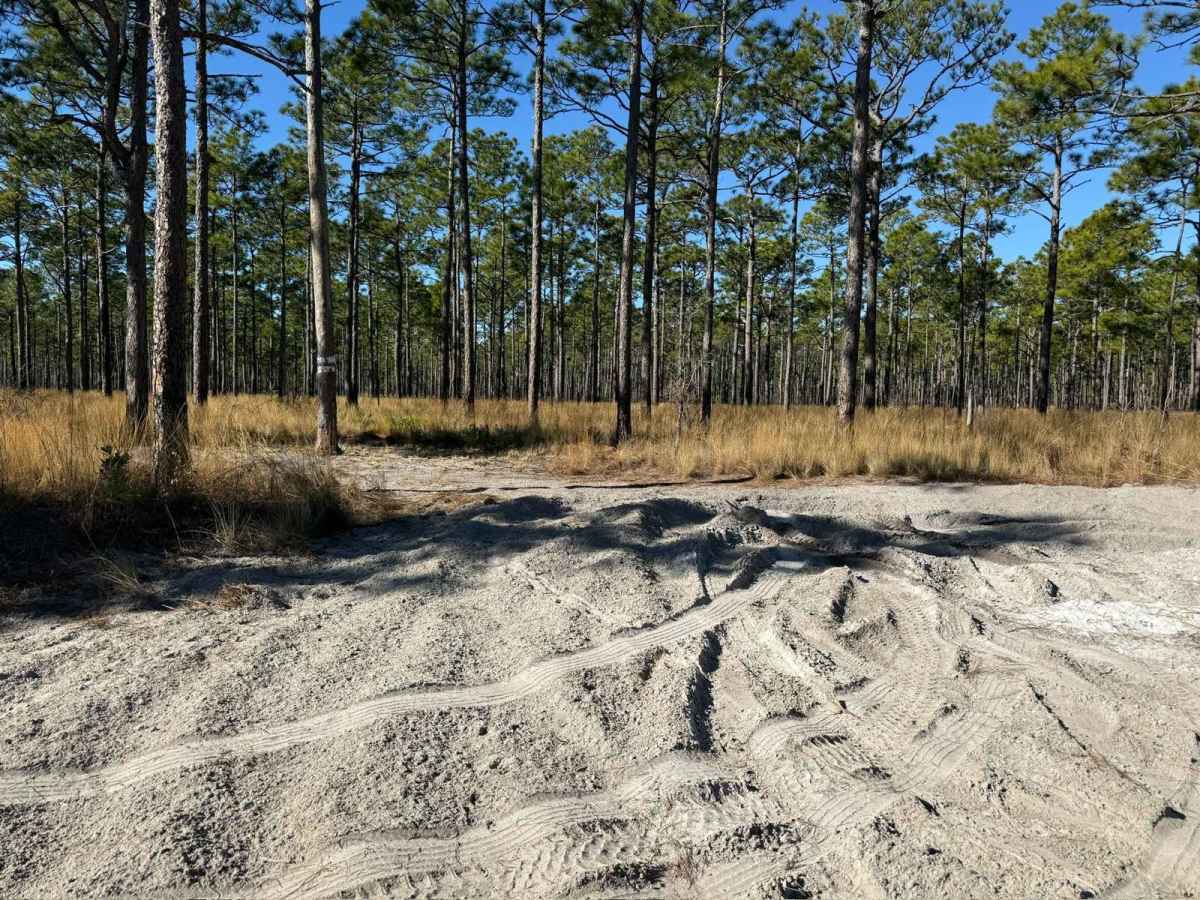 Pettiford Creek Trail 2 photo 3