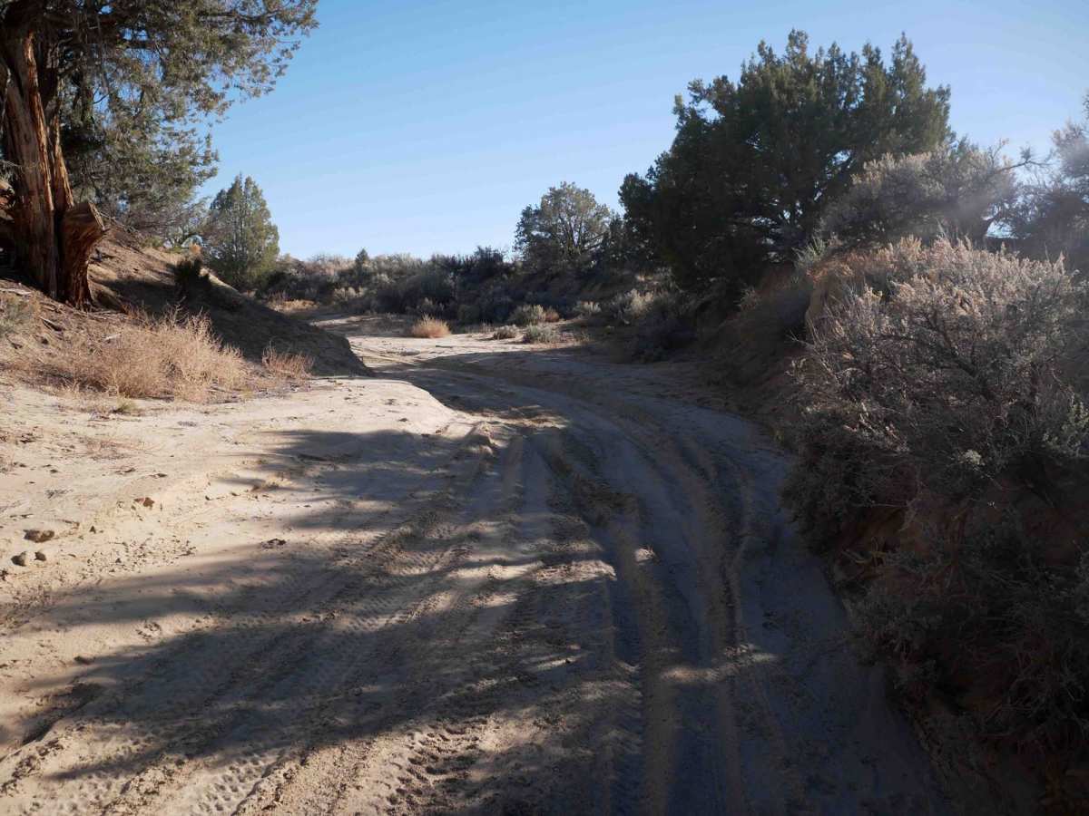 Casanova Mount Wash photo 5