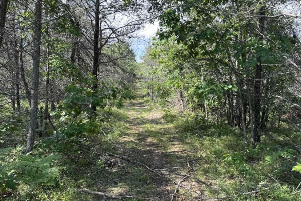 Spring Lake Spur