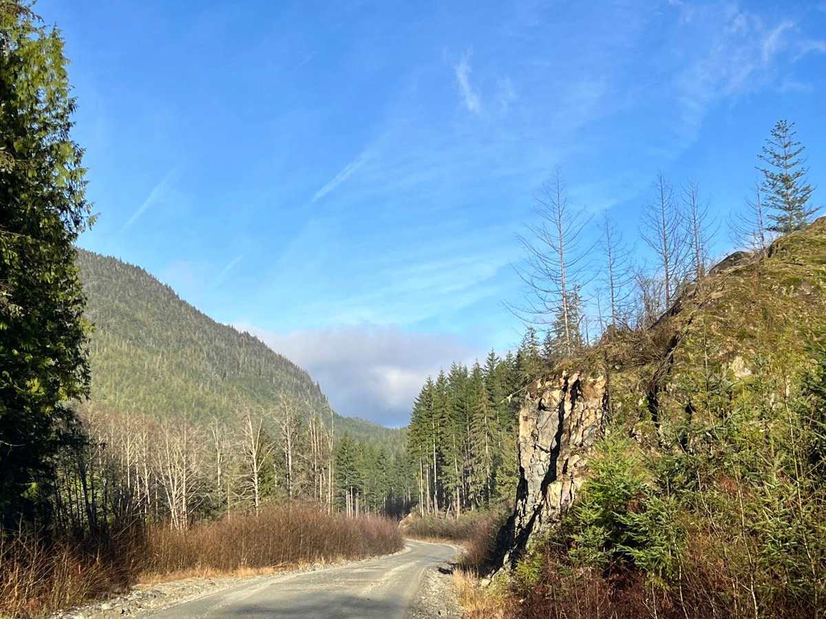 Little Bear Bay photo 3