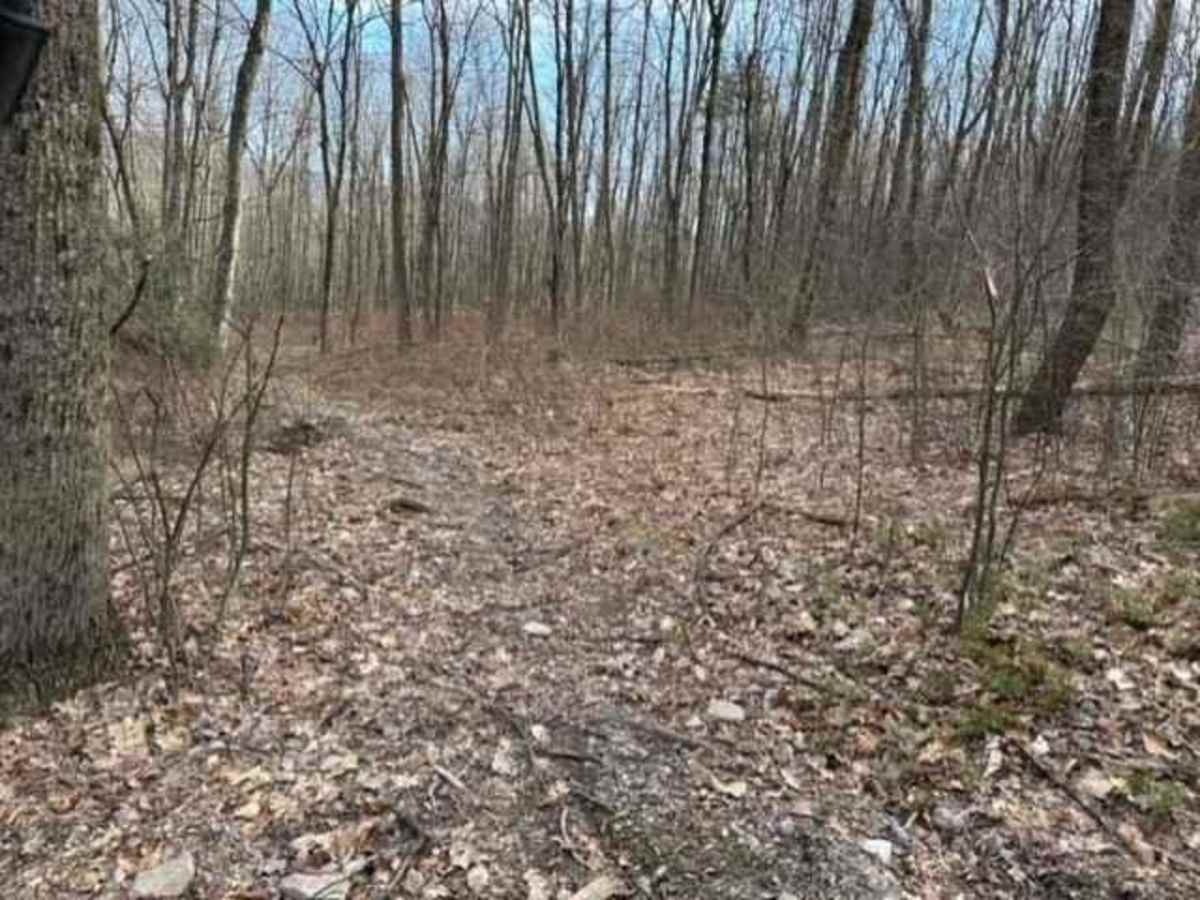 Tower City Single Track 3 - B trail photo