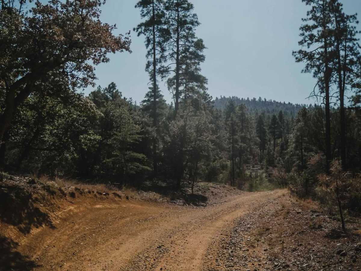 Schoolhouse Gulch photo 3