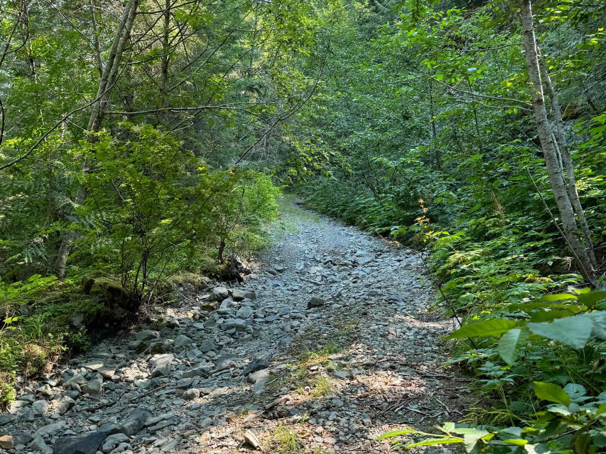 Bare Mountain Road photo 3