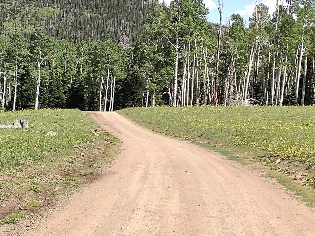 Dry Creek Road - FS 40183) photo 2