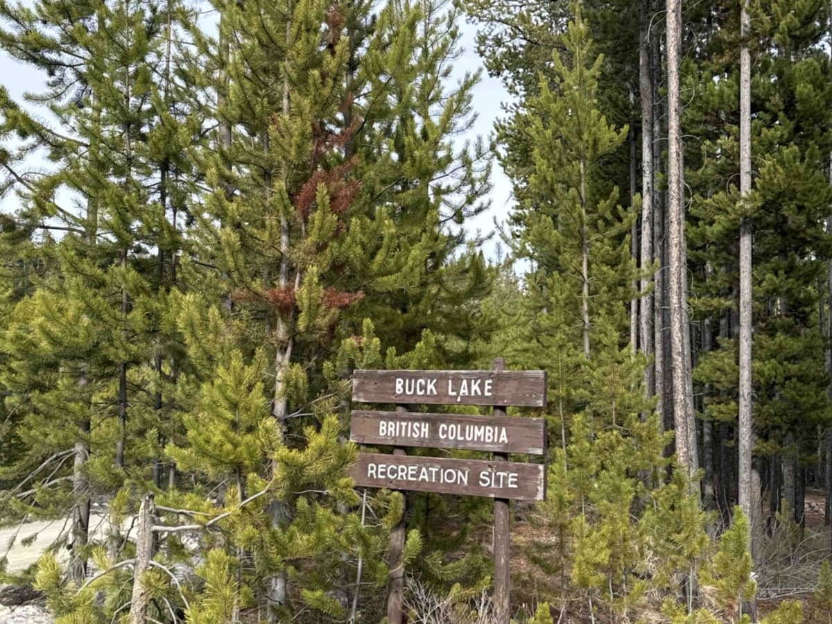 Shrimpton FSR to Buck Lake Recreation Site photo 6