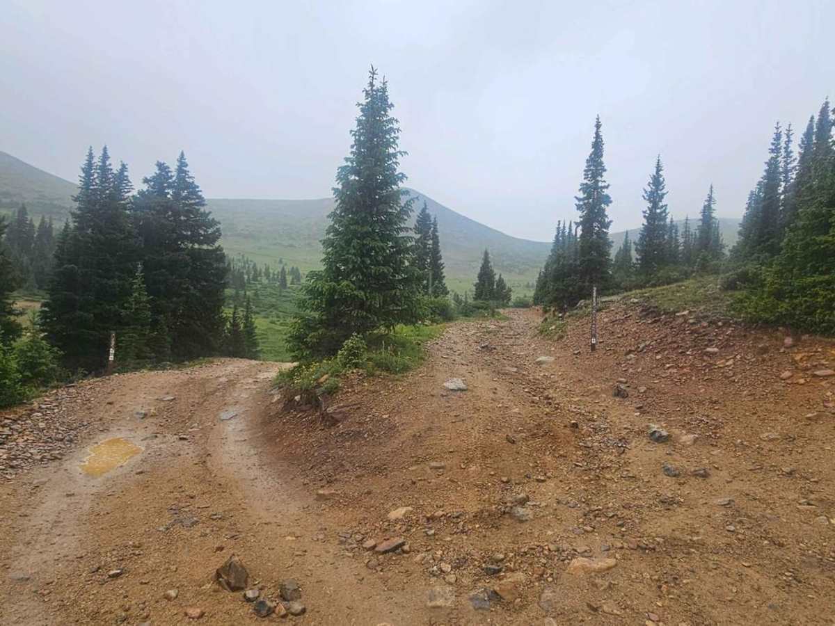 Webster Pass Road - FS 285 photo 5