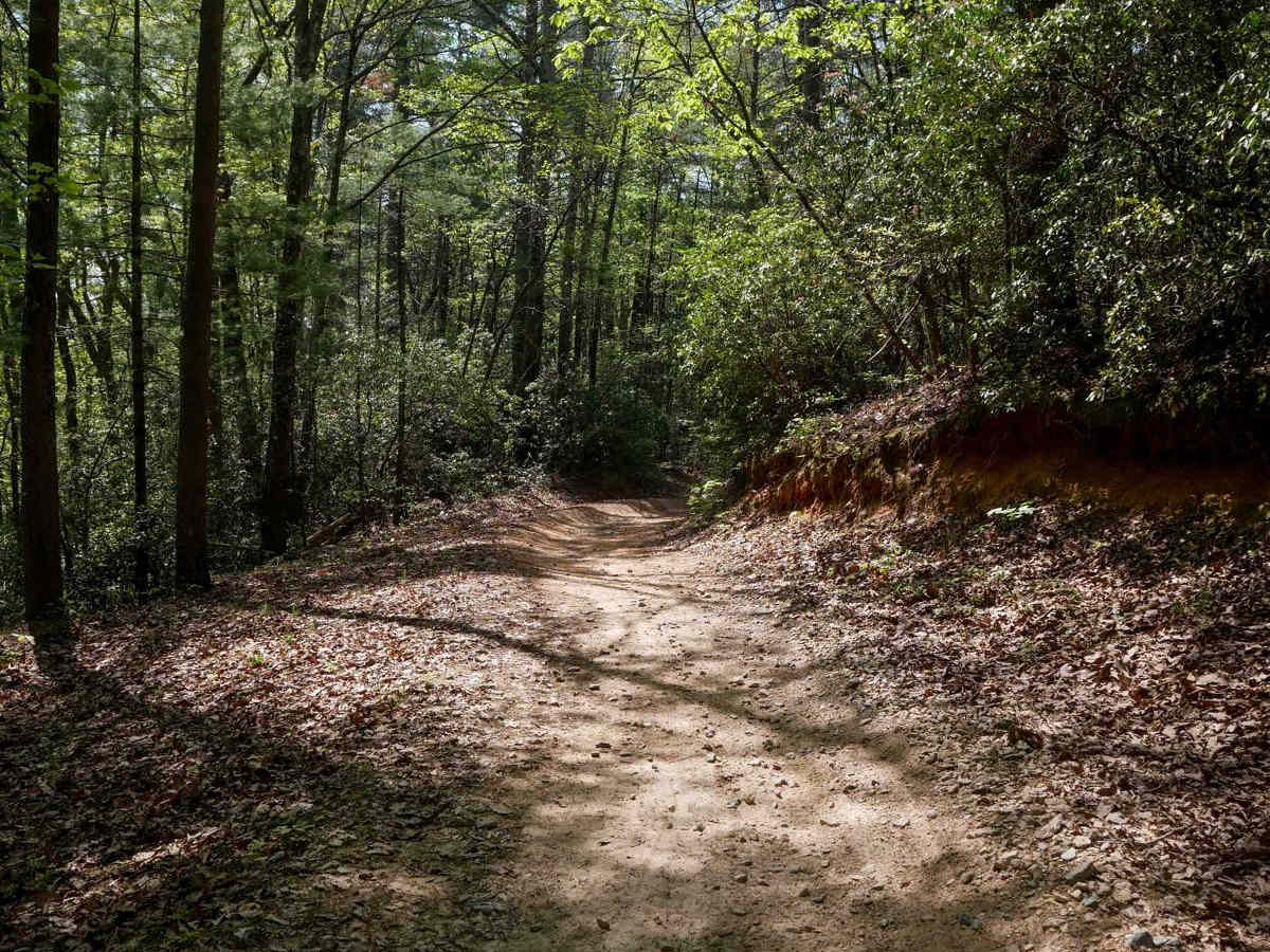 Parking Lot Trail 192 photo 2