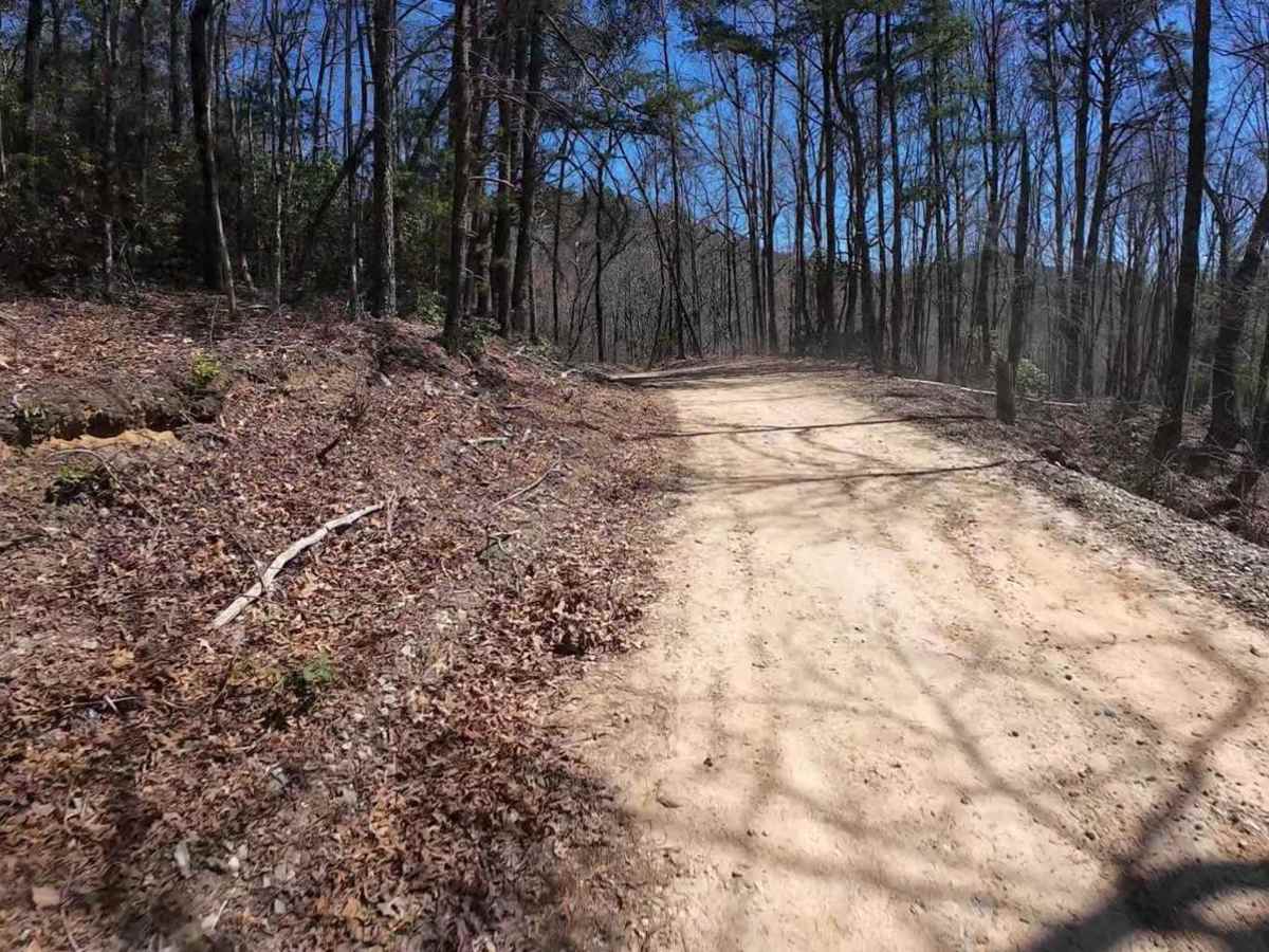 Canebrake Road photo 2