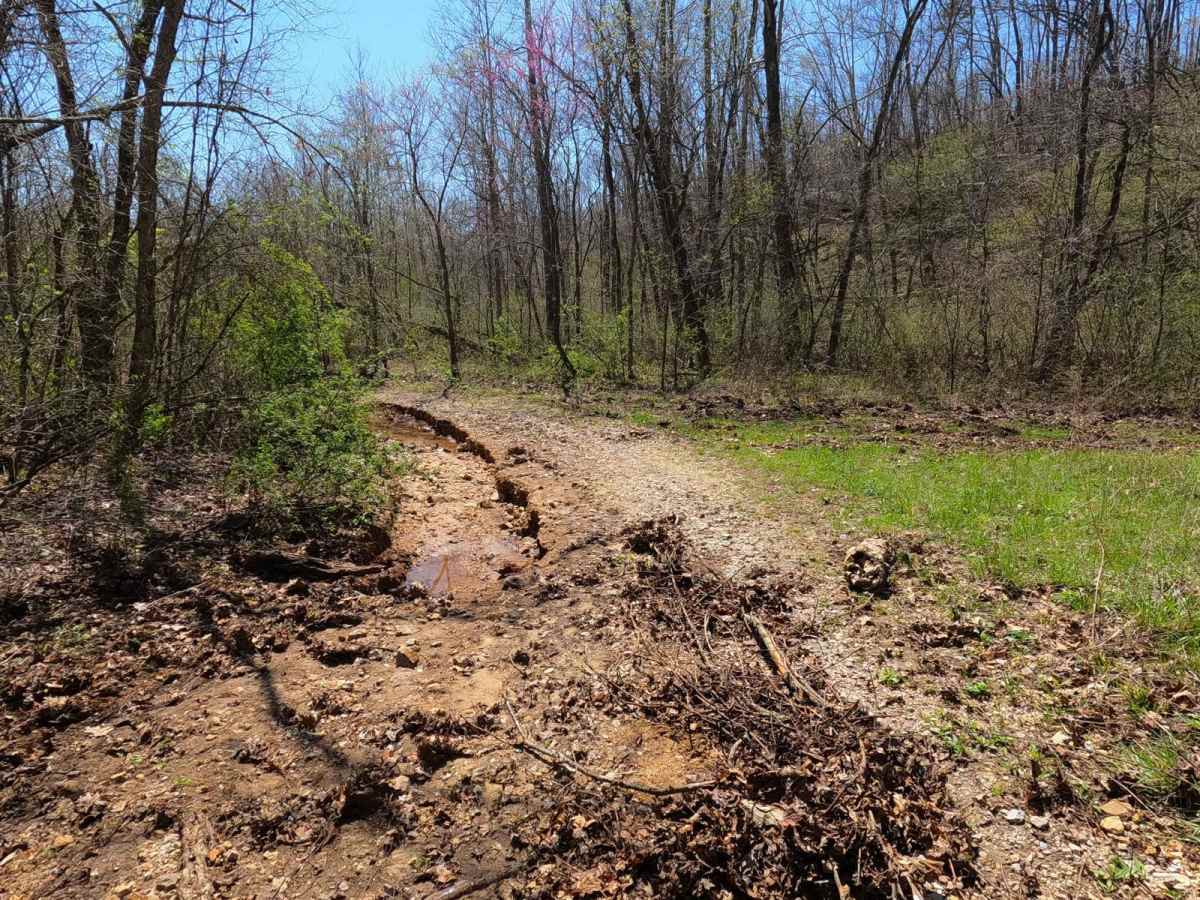 River Ridge Road photo 3