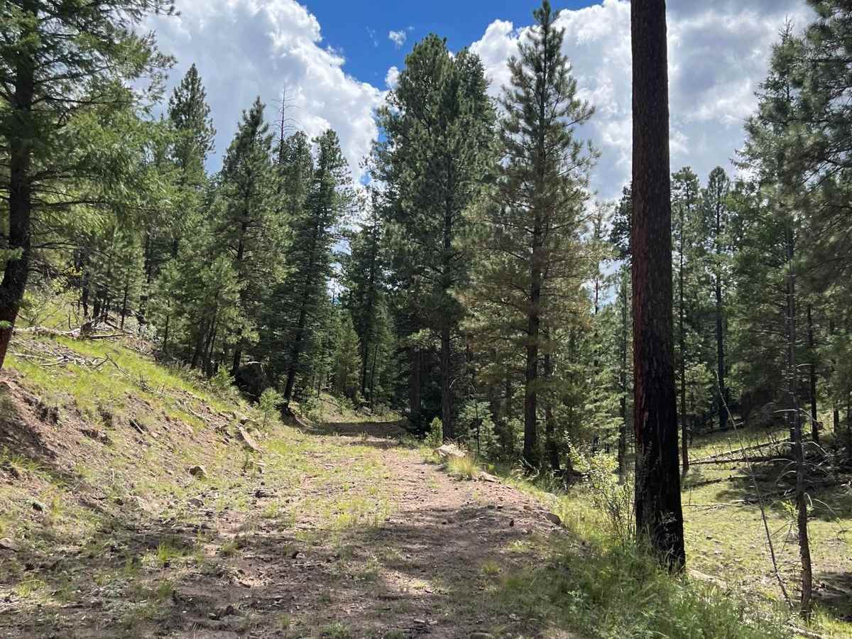 Boulder Wash - FR 451 photo 4