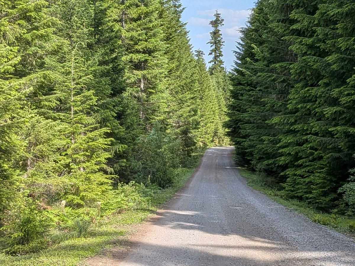Timothy Lake 4280000 photo 6