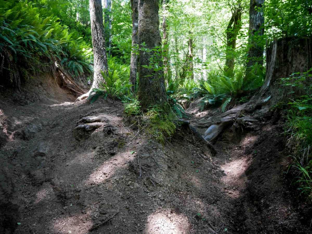 Outback #99 trail photo