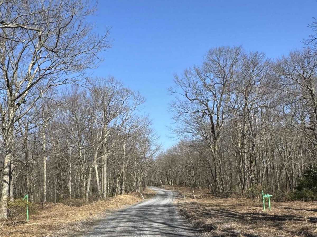 Grugan Hollow Road photo 2