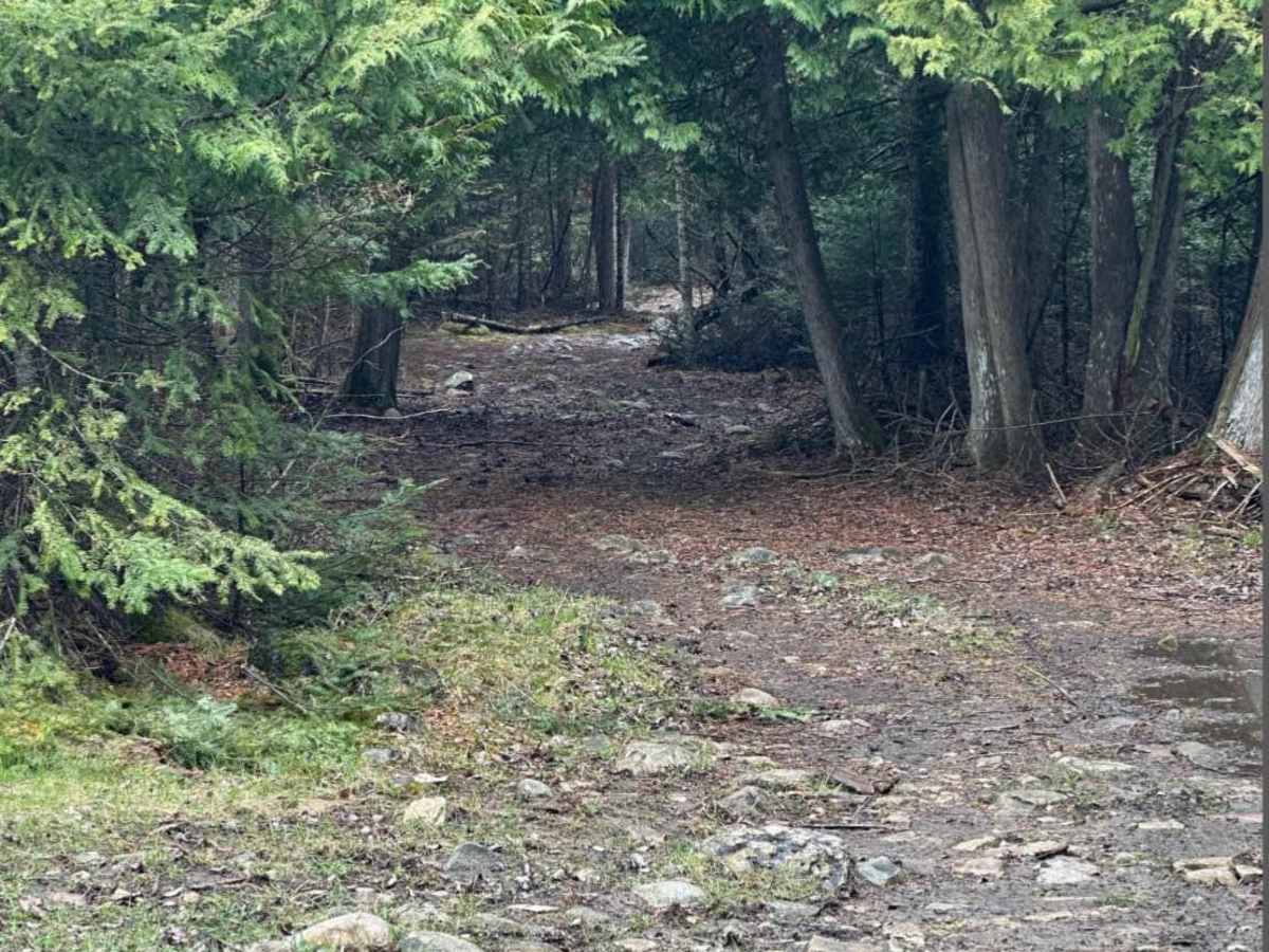 Mud Alley trail photo
