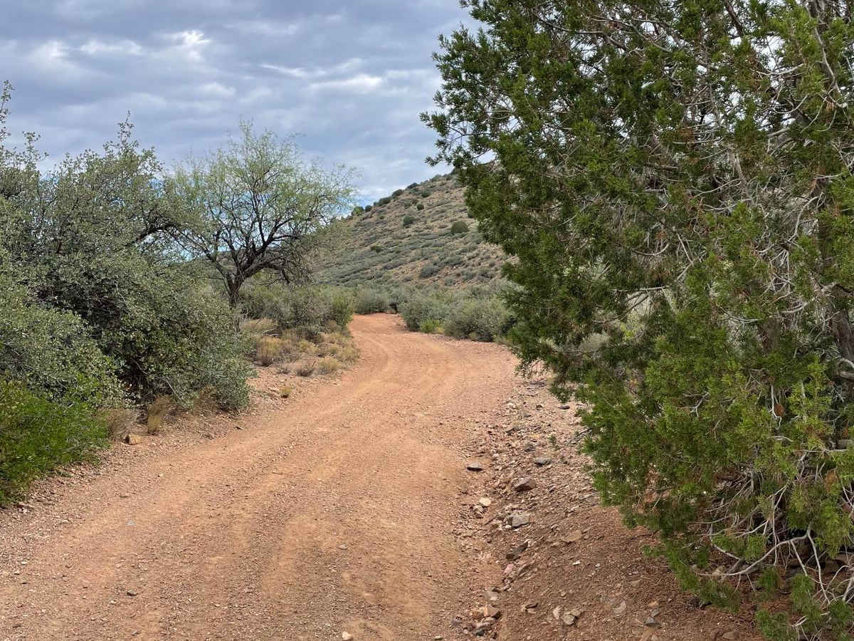 BLM Route 9685 & 9656 photo 2