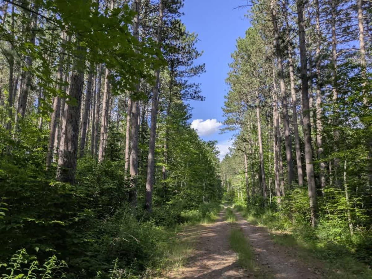 McNiven Spur C photo 6
