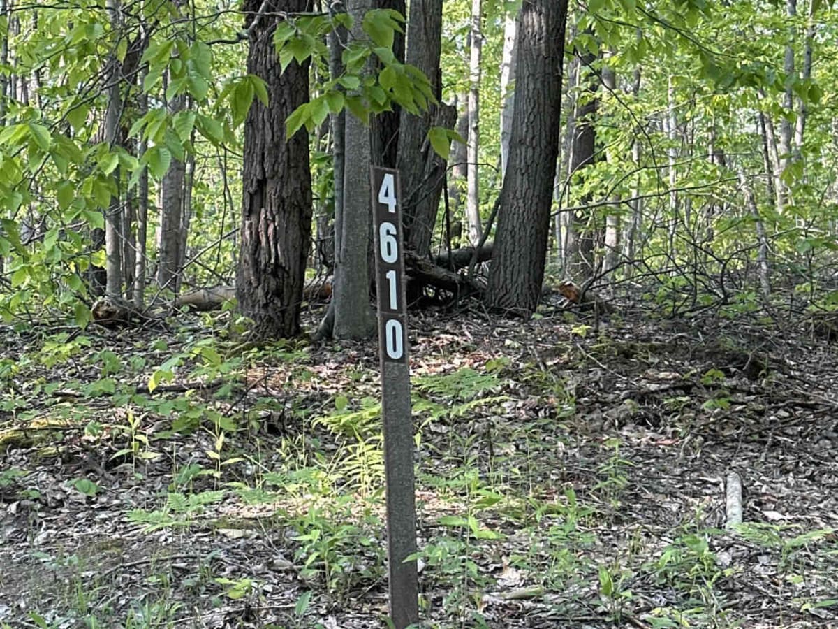 FS 4610 trail photo