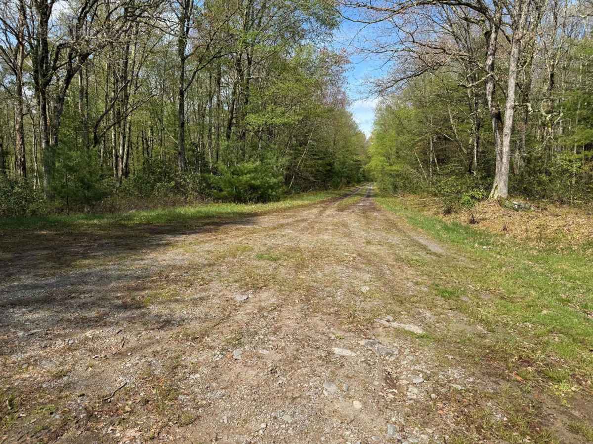 Hickock Brook Trail photo 5