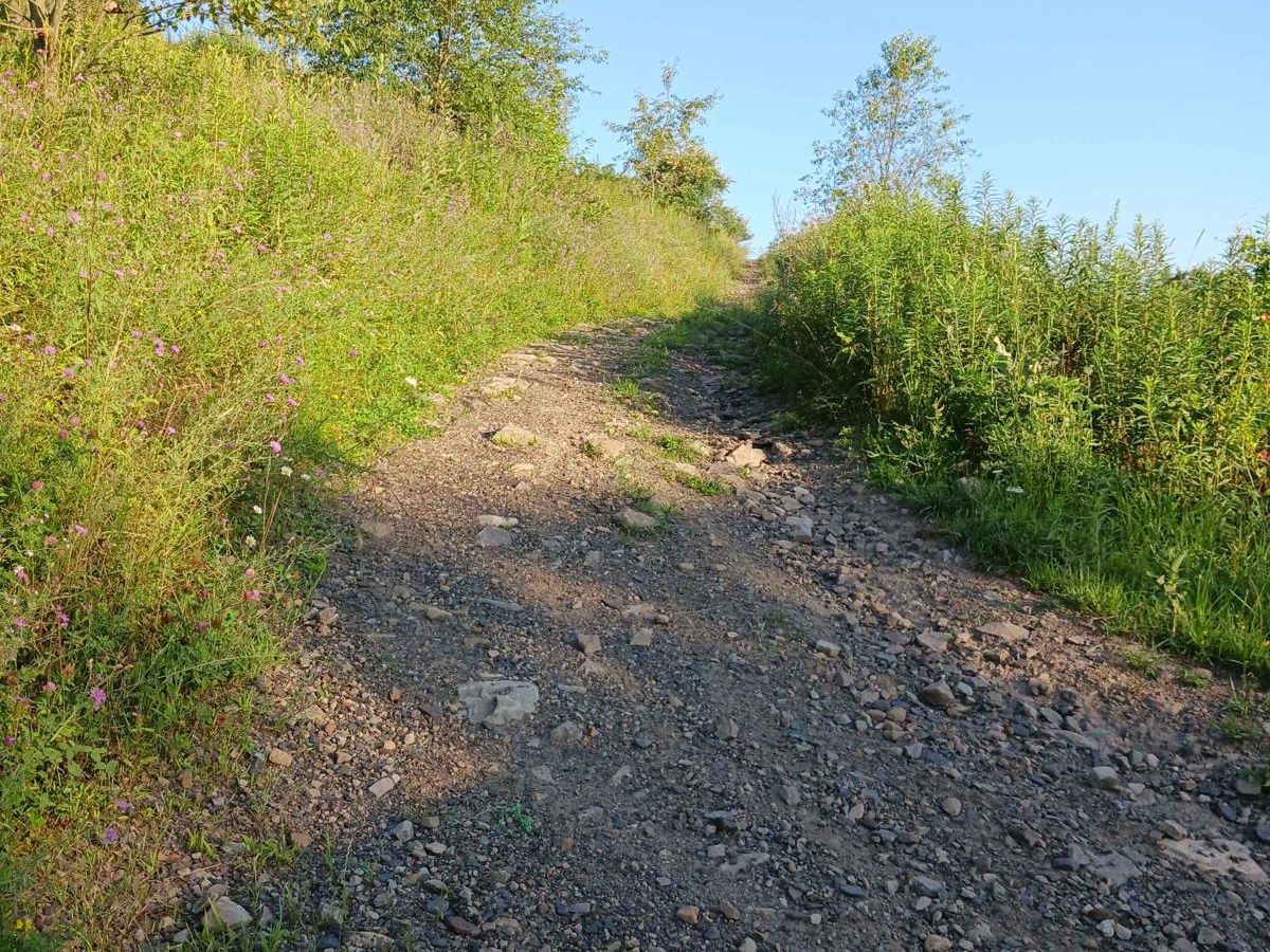 Trail 12H - Rock Run Recreation Area photo 2