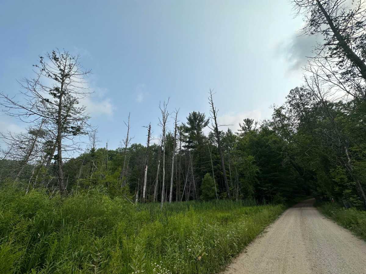 Upper River Road trail photo