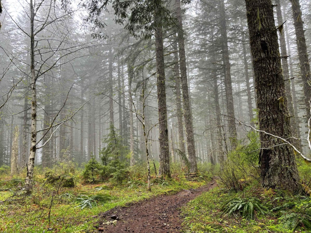 Bell Mountain to Rye Mountain photo 4