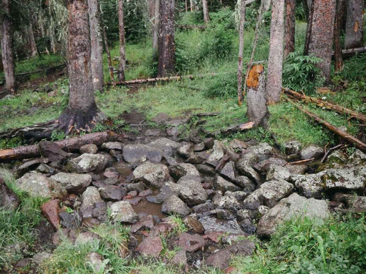 Willow Mountain Trail photo 2