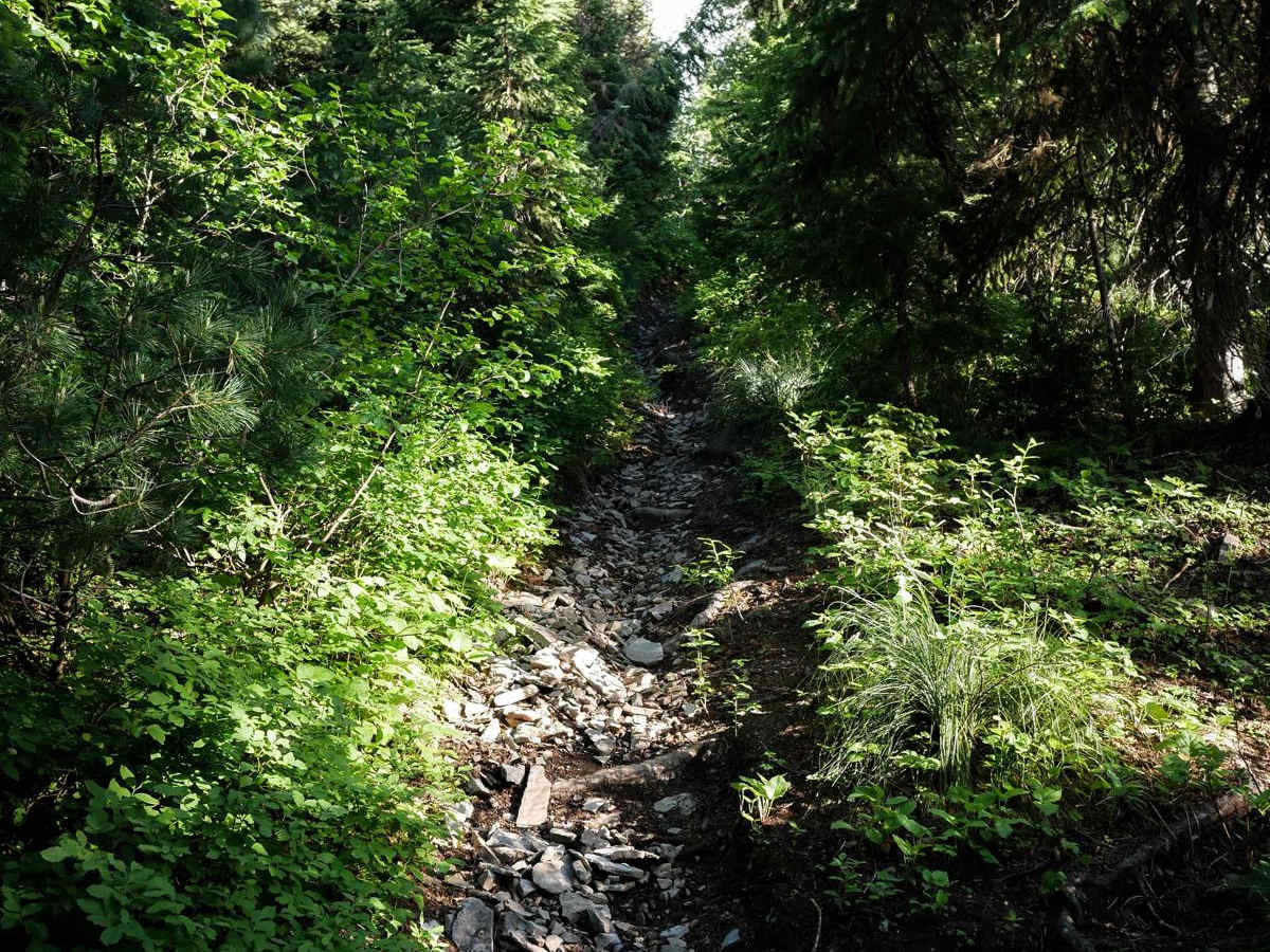 Elsie Peak trail photo