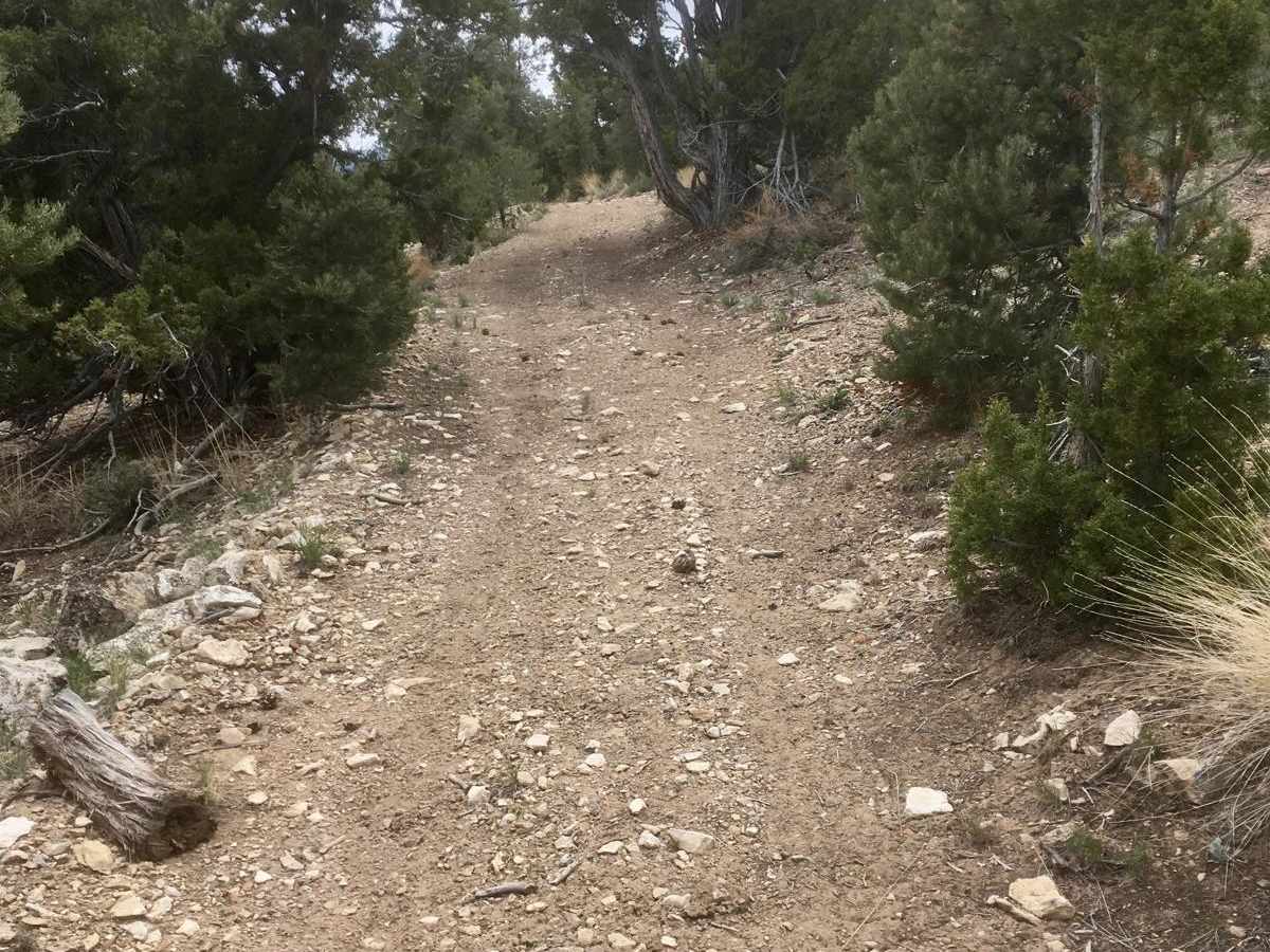 Legacy ATV Trail photo 4