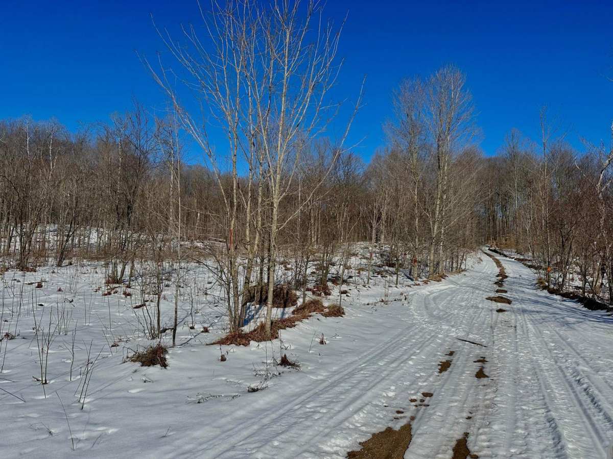 Middle Haze Road trail photo