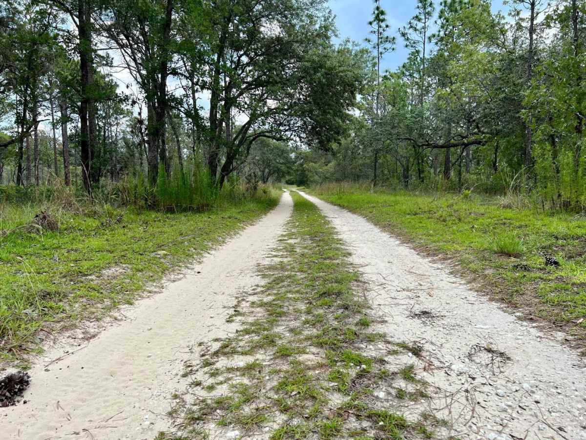 Citrus Wildlife Management | 11B photo 4