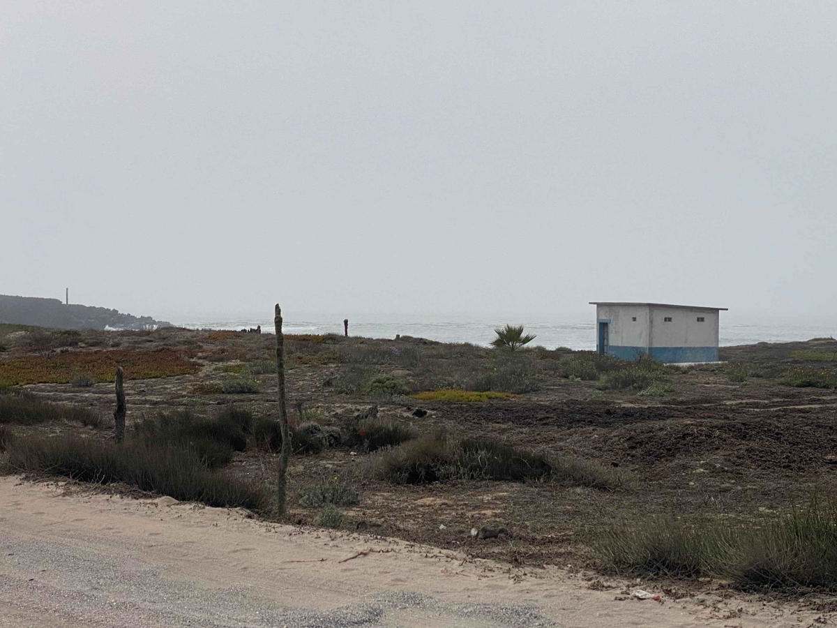 Coastal Route La Chorera photo 4