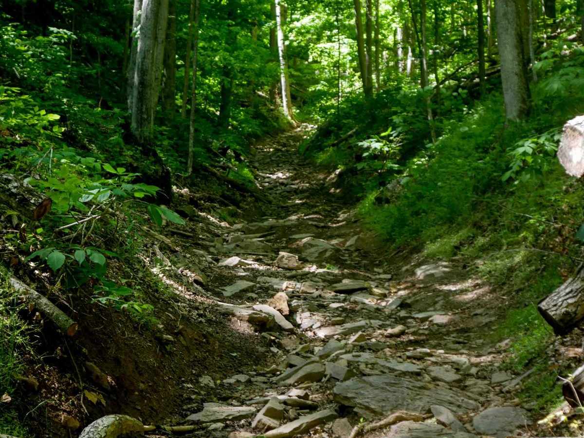 Trail 28 Razor Ridge photo 2