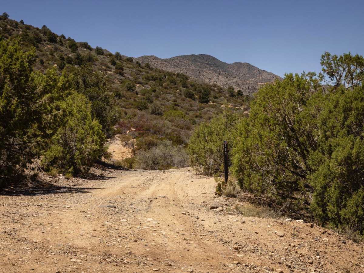 Blue Monster trail photo