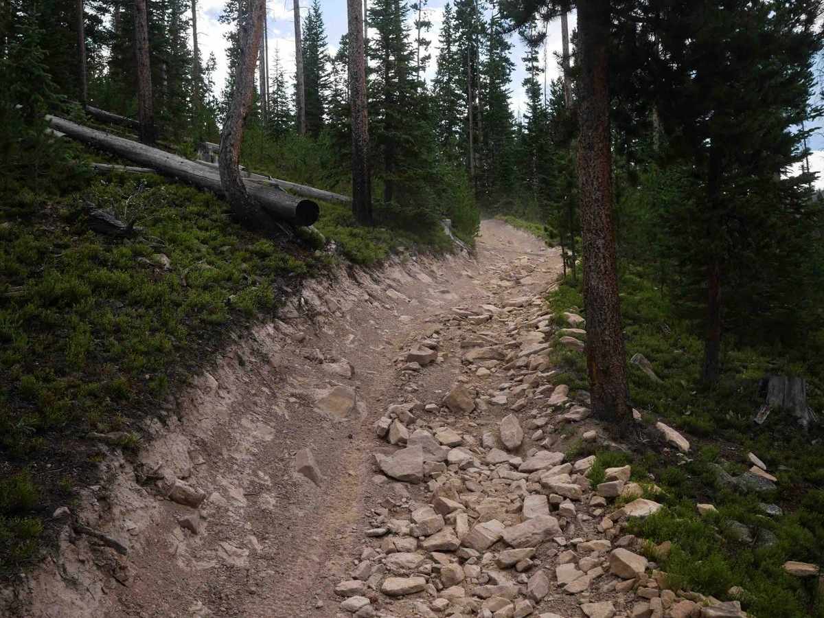 Illinois Ditch Trail  trail photo