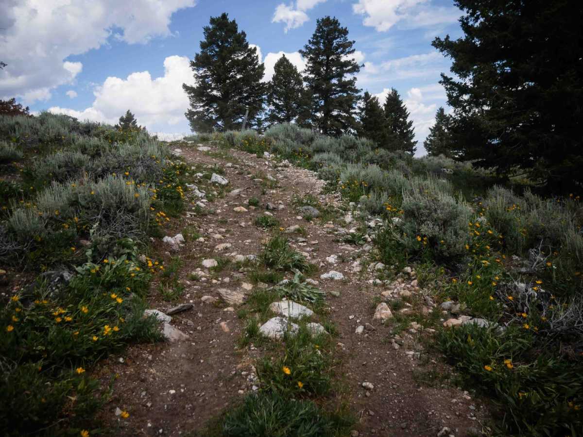Rocky Peak photo 3