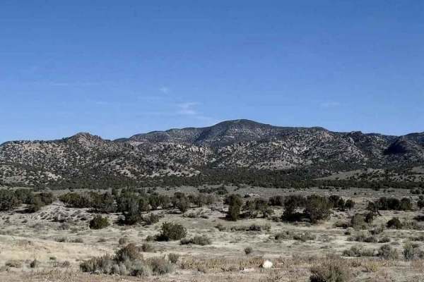 Willow Springs Road-JC8112002