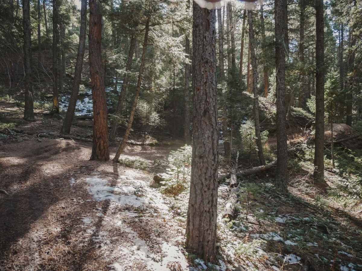 788 ATV Trail trail photo