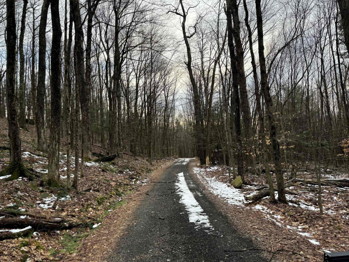 Brown Road trail photo