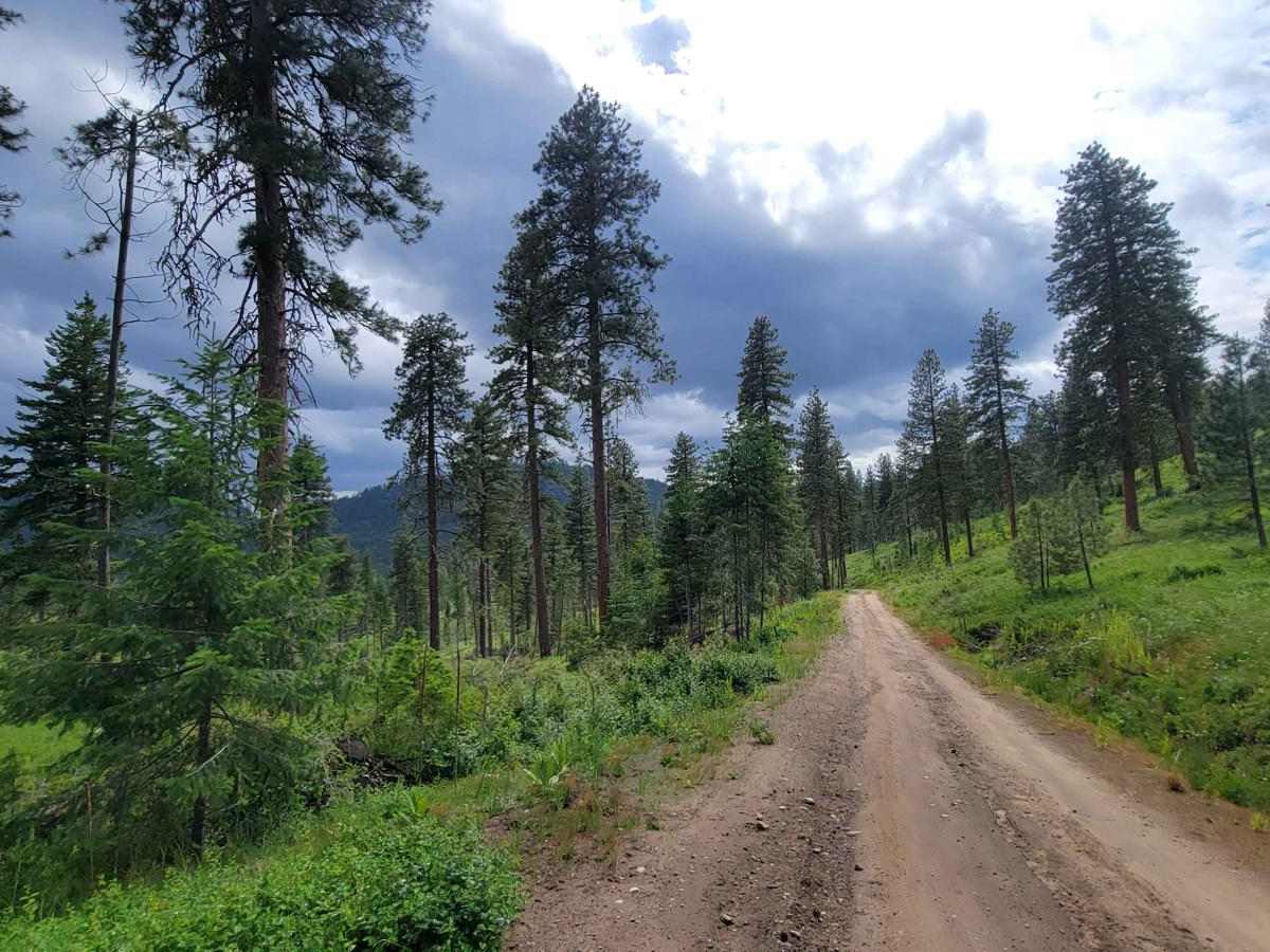 Lower Buck Mountain photo 3