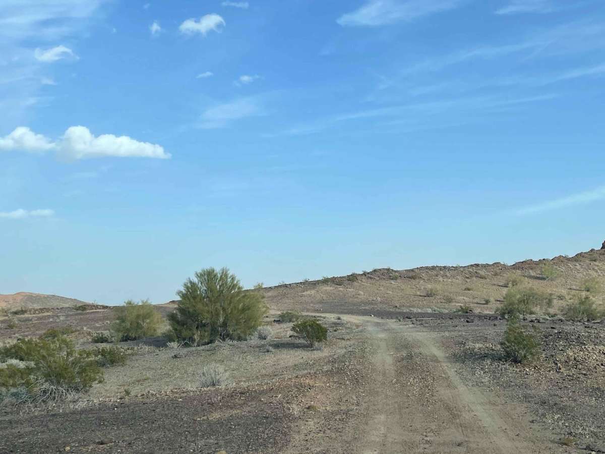 Palomas Flats photo 2